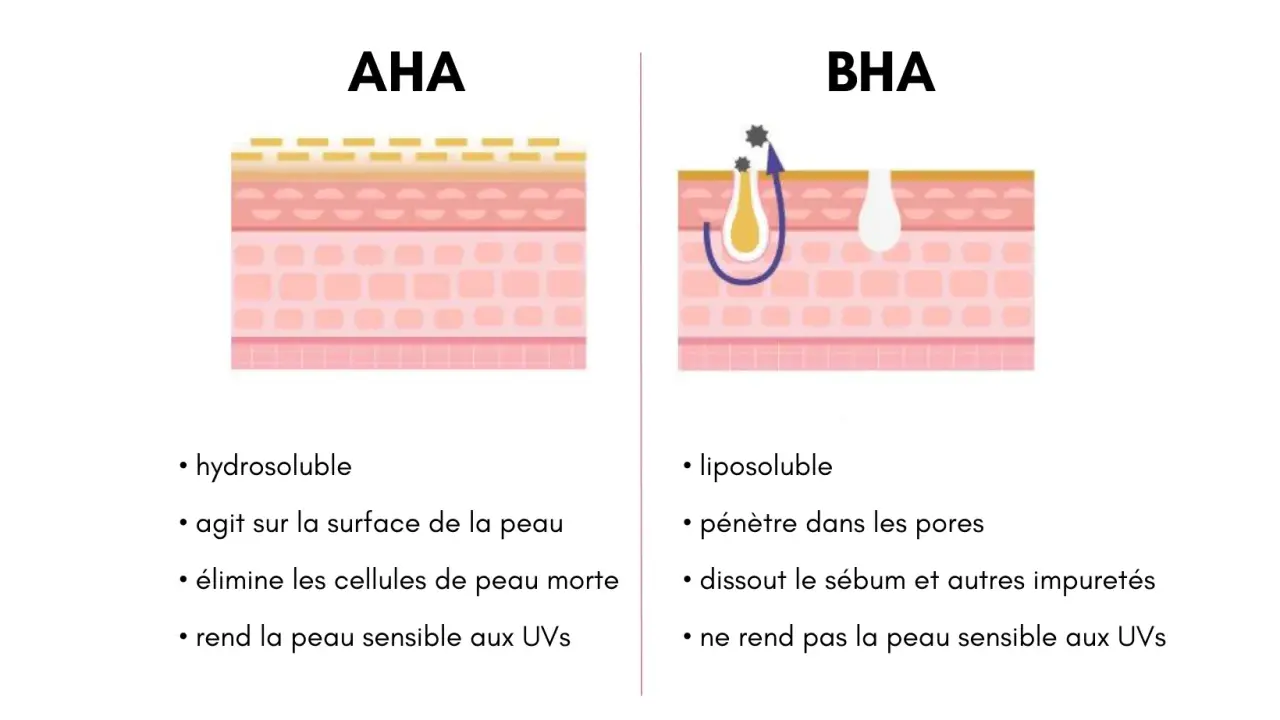 Comparaison AHA et BHA : l'un agit en surface, l'autre pénètre les pores pour dissoudre le sébum. Aha, le BHA est liposoluble !