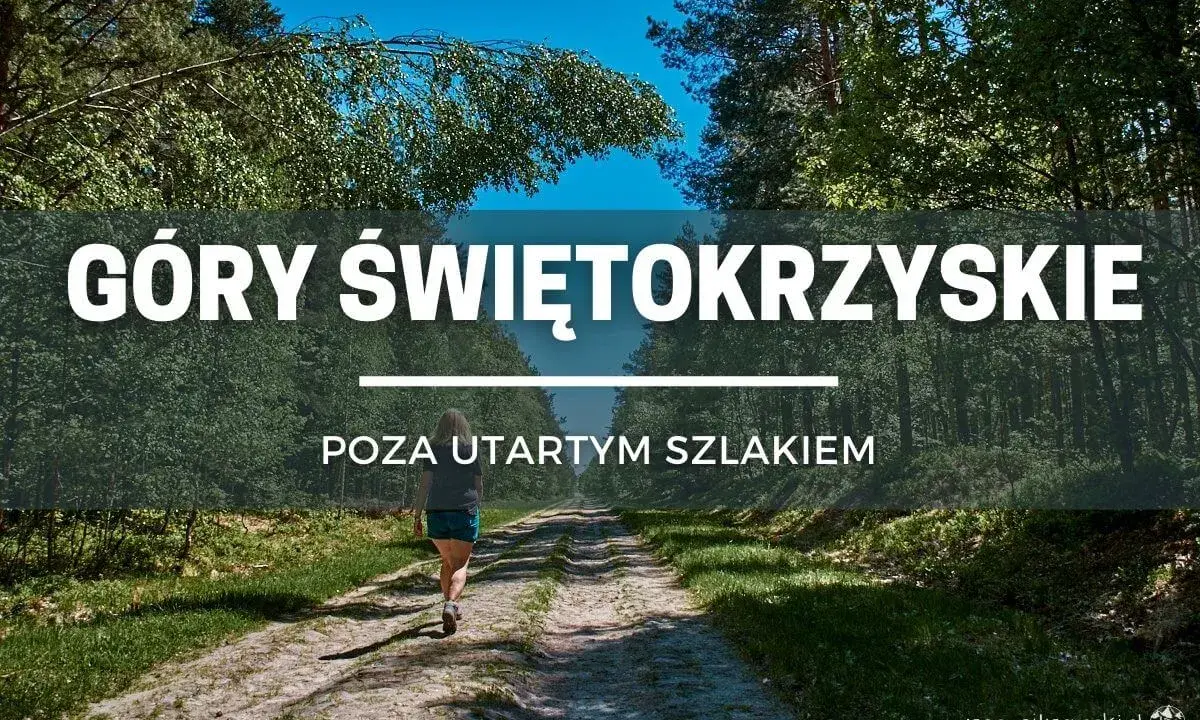 Kobieta idzie leśną ścieżką w Górach Świętokrzyskich, odkrywając nowe szlaki poza utartym szlakiem.