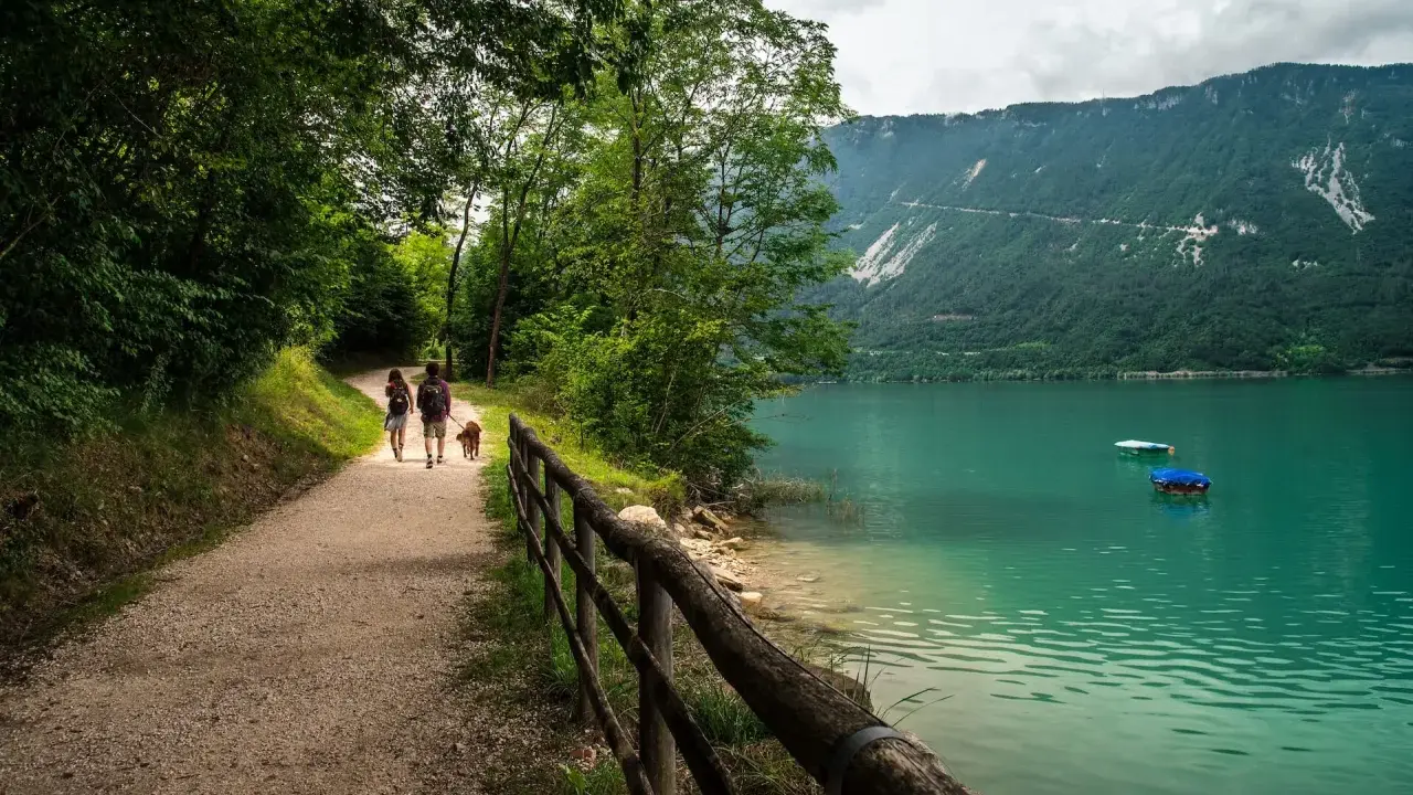 Passeggiata con il cane lungo il sentiero del lago di Santa Croce, con montagne verdi sullo sfondo e acque turchesi.