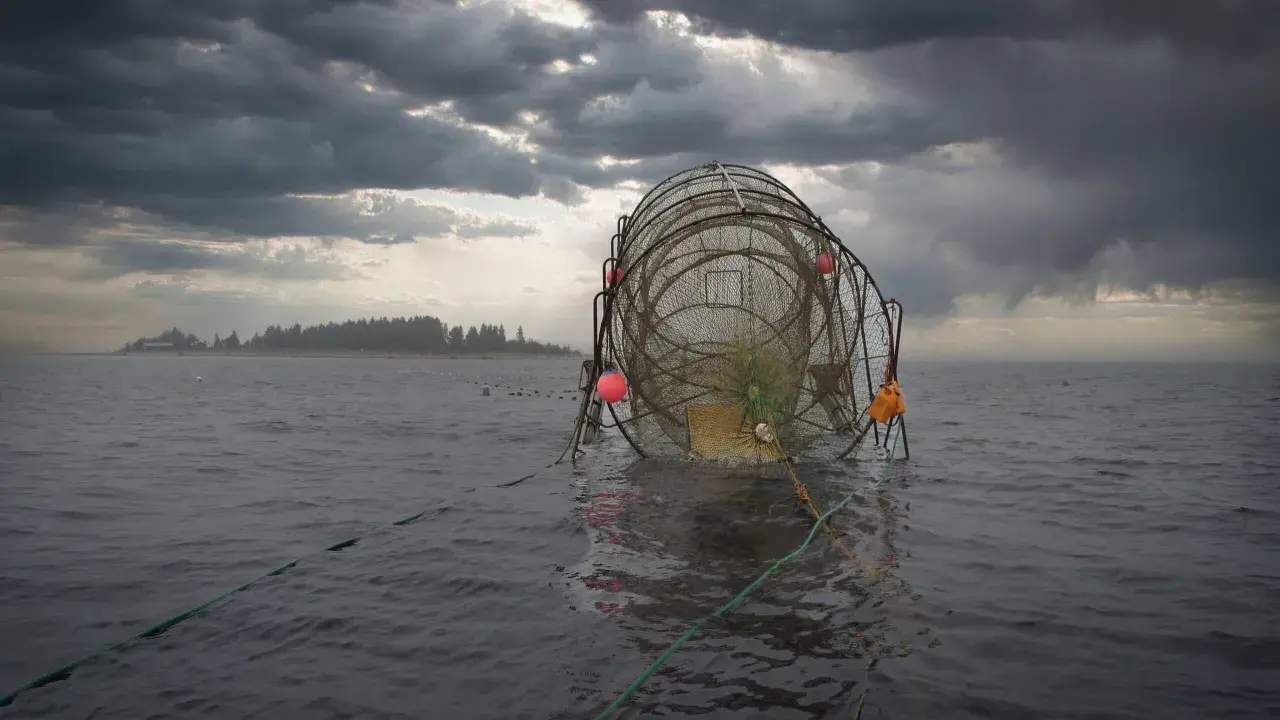 Fiskeredskap i vattnet, redo för att fiska lax. Mörka moln hänger över en grå himmel.