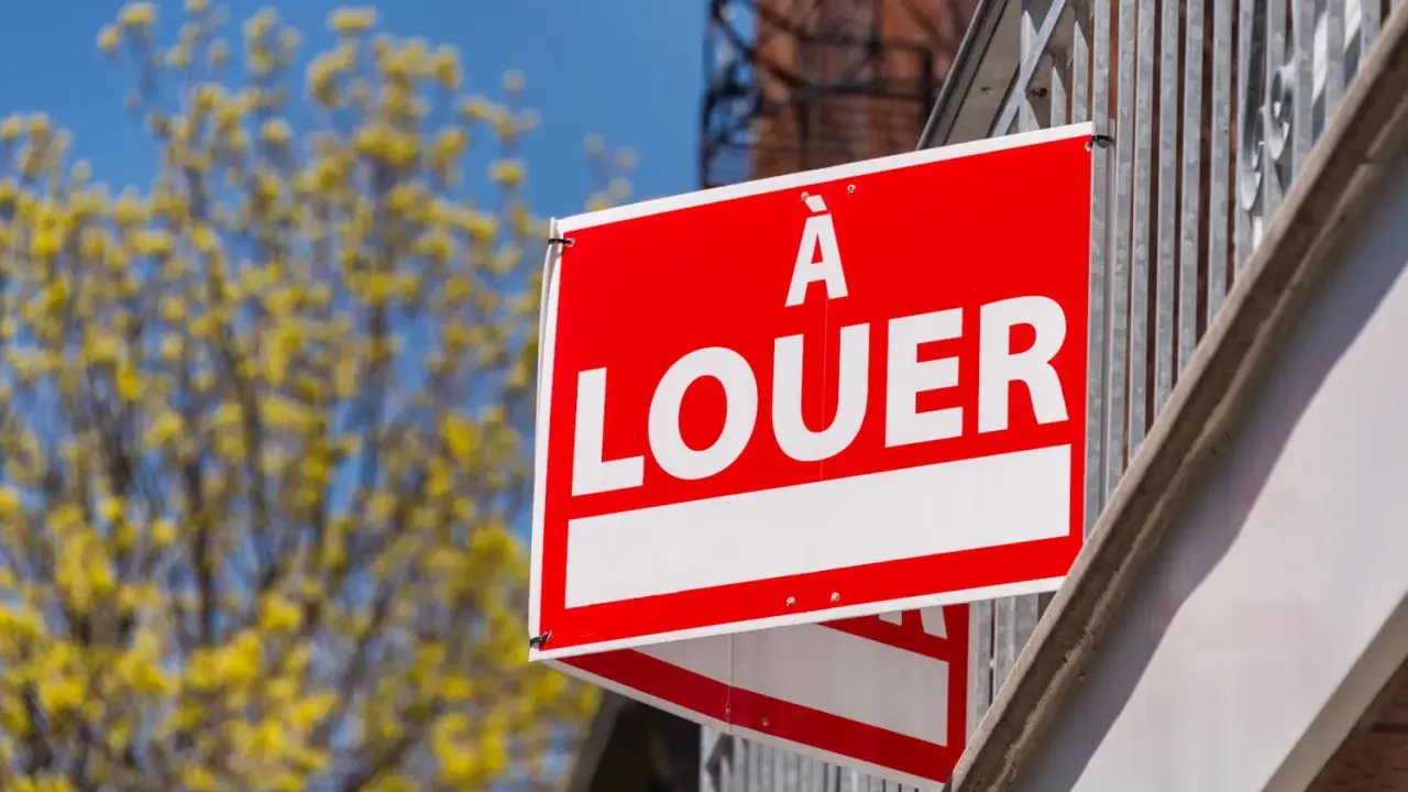 Panneau "À louer" rouge vif, un signe d'espoir pour comment trouver un logement rapidement. Arbre fleuri en arrière-plan.
