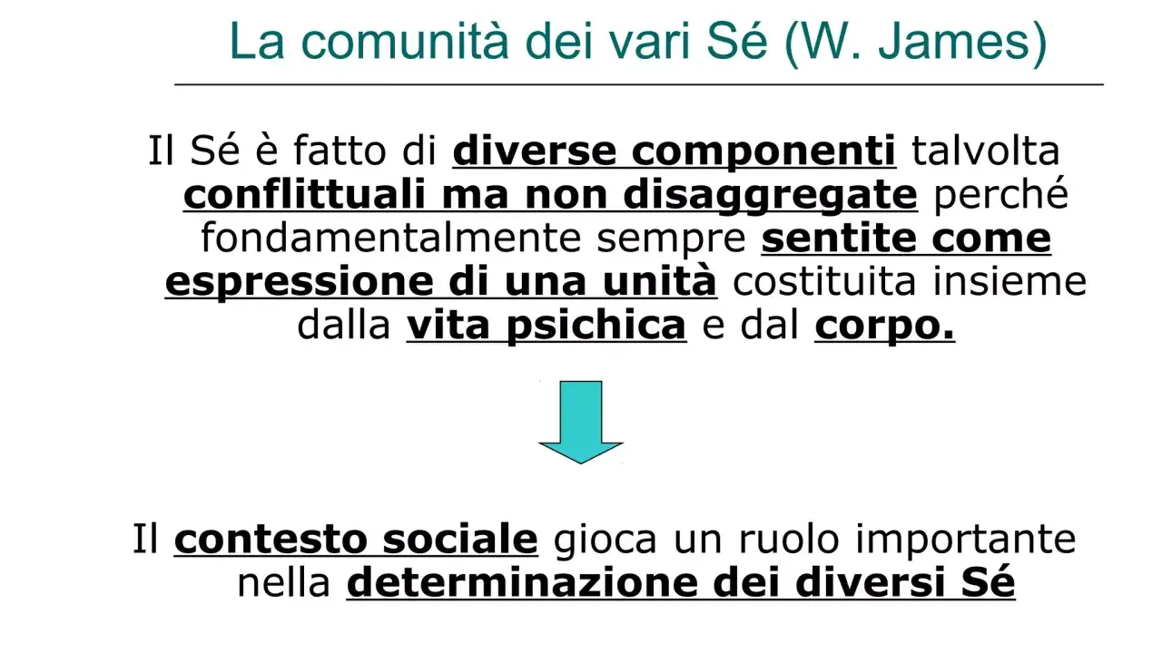Il Sé è composto da diverse parti, a volte in conflitto, ma che formano un'unità. La diffusione di identità è influenzata dal contesto sociale.