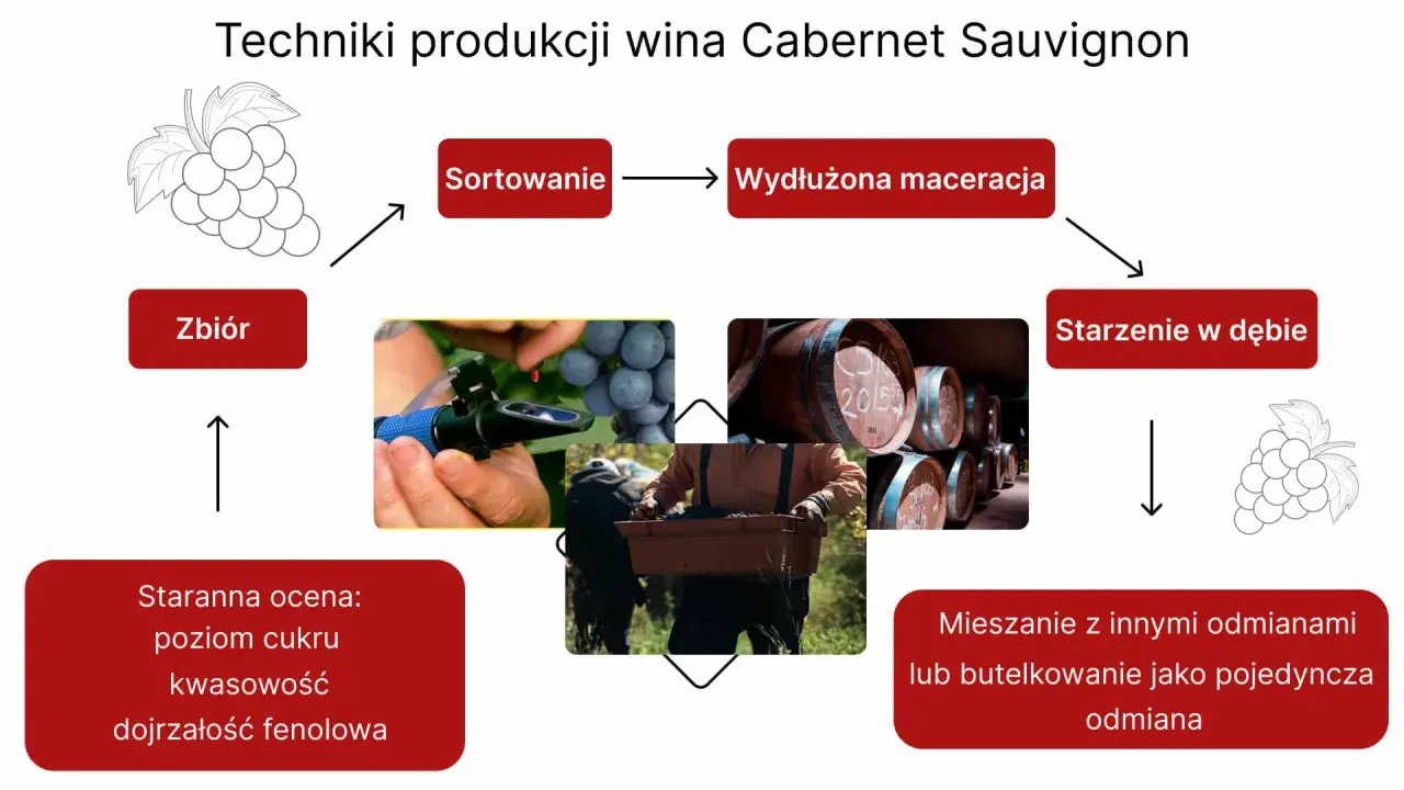 Cabernet Sauvignon: Król win? Poznaj smak, sekrety i pairing!