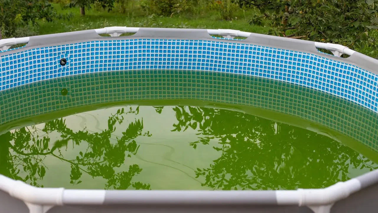 Una piscina inflable con agua verde y reflejos de árboles.