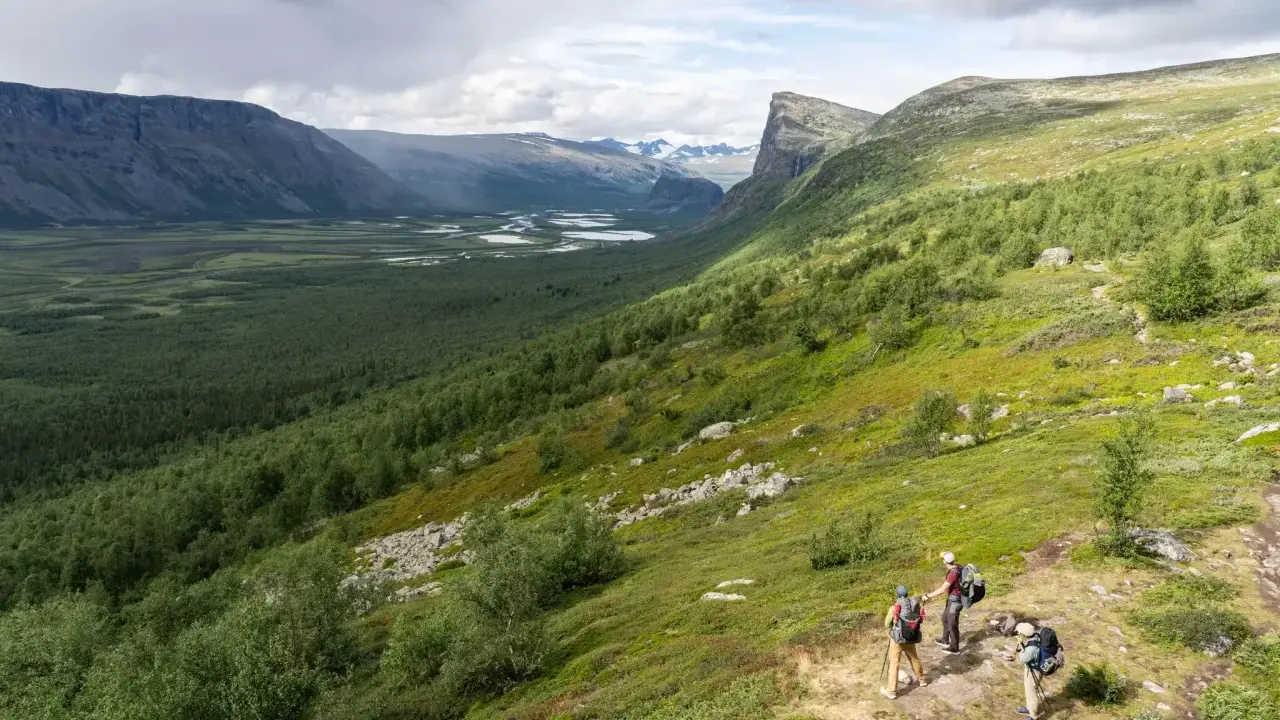 Vandrare njuter av utsikten över Sarek nationalpark, med en vidsträckt dalgång och slingrande floder.