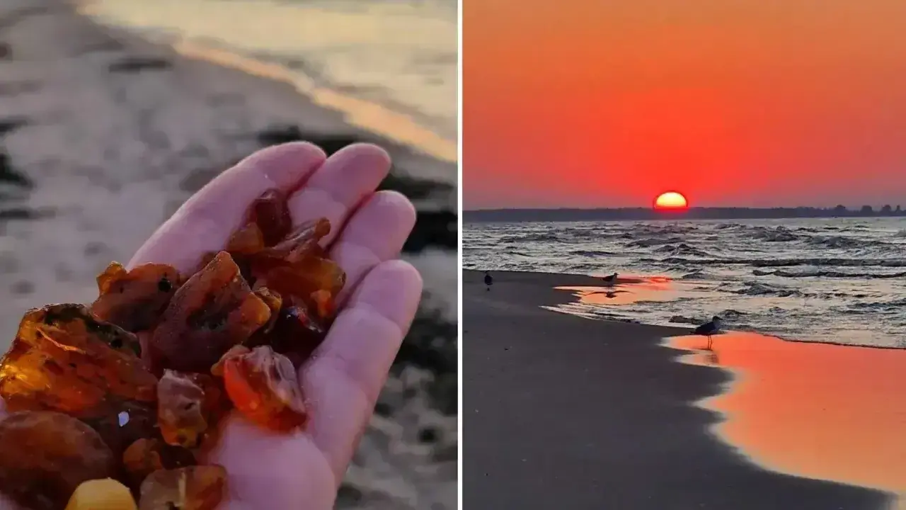 Dłoń pełna bursztynu na tle zachodzącego słońca nad morzem. Widać, jak wygląda bursztyn na plaży – ciepłe, miodowe kamienie.