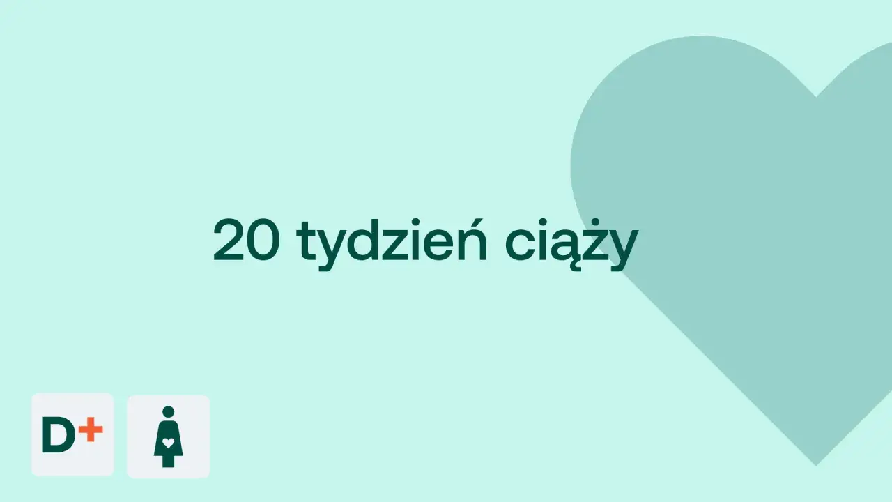 20 tydzień ciąży. Serce i ikony D+ oraz kobiety w ciąży na jasnym tle.