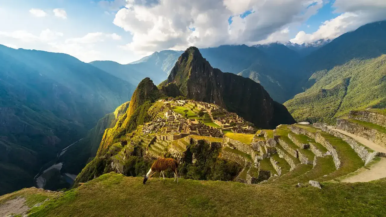 Un lama pasta en la cima de una montaña, contemplando la majestuosidad de que es Machu Picchu, una ciudadela inca entre picos andinos.
