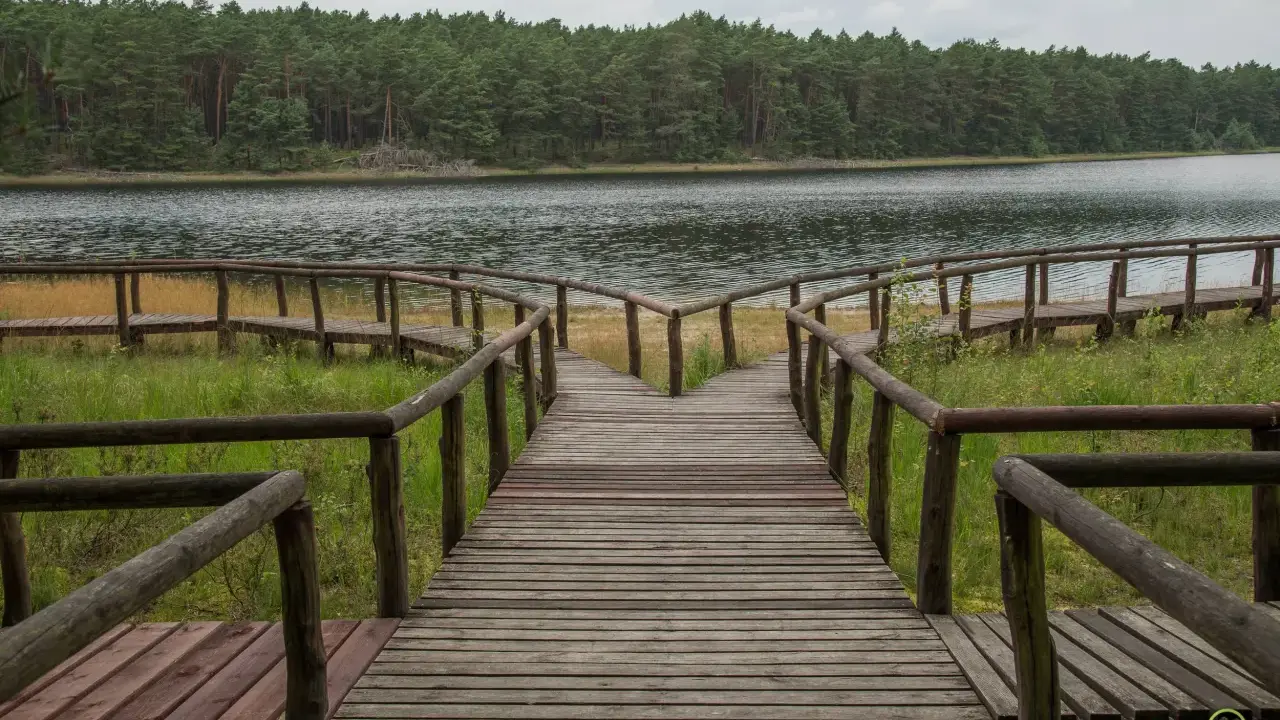 Drewniana kładka prowadzi do jeziora otoczonego lasem. To idealne miejsce, by poczuć magię Borów Tucholskich.