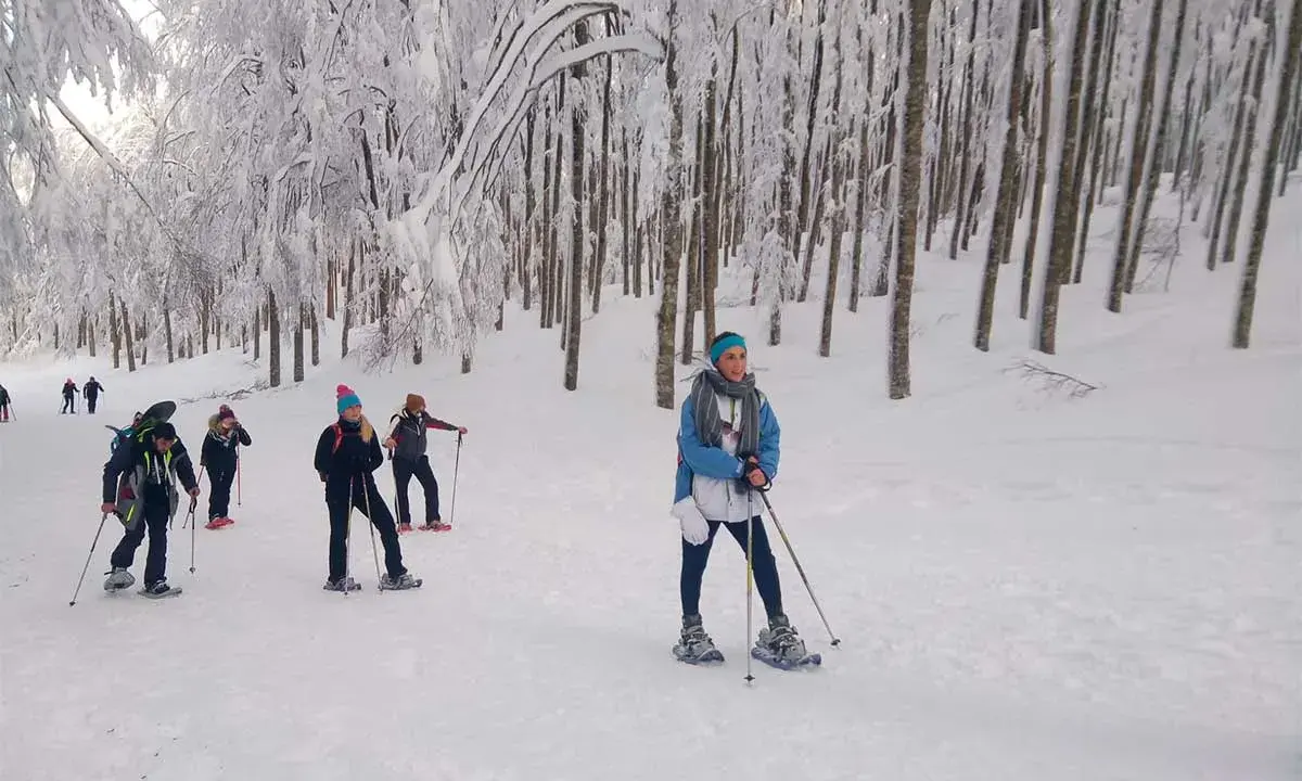 Gruppo di escursionisti con racchette da neve nel bosco innevato dell'Amiata, godendosi una giornata di sci e natura.