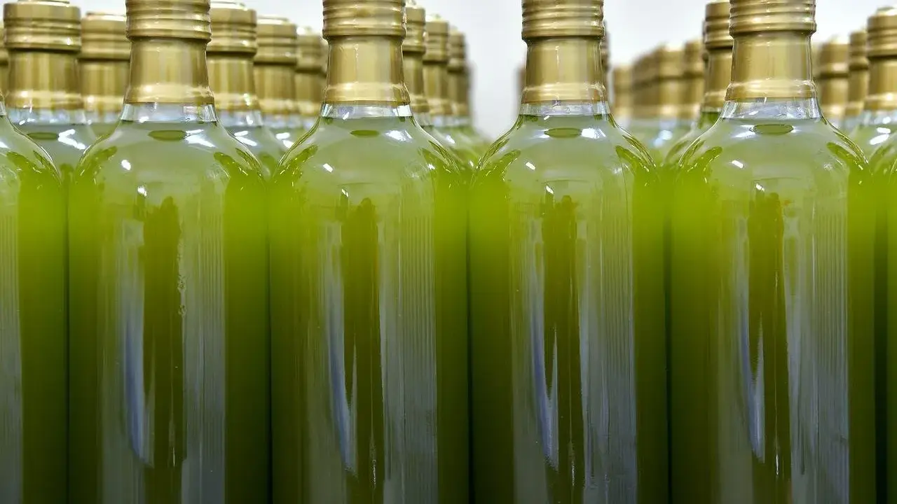 Botellas alineadas llenas de un líquido verde vibrante, reflejando el color del aceite de oliva virgen extra.
