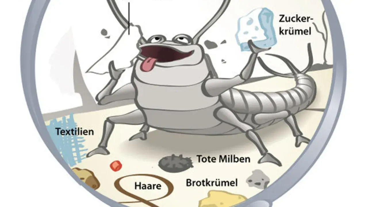 Ein fröhlicher Silberfisch frisst Zucker, Textilien, Haare, tote Milben und Brotkrümel. Warum Silberfische so beliebt sind? Sie sind Allesfresser!