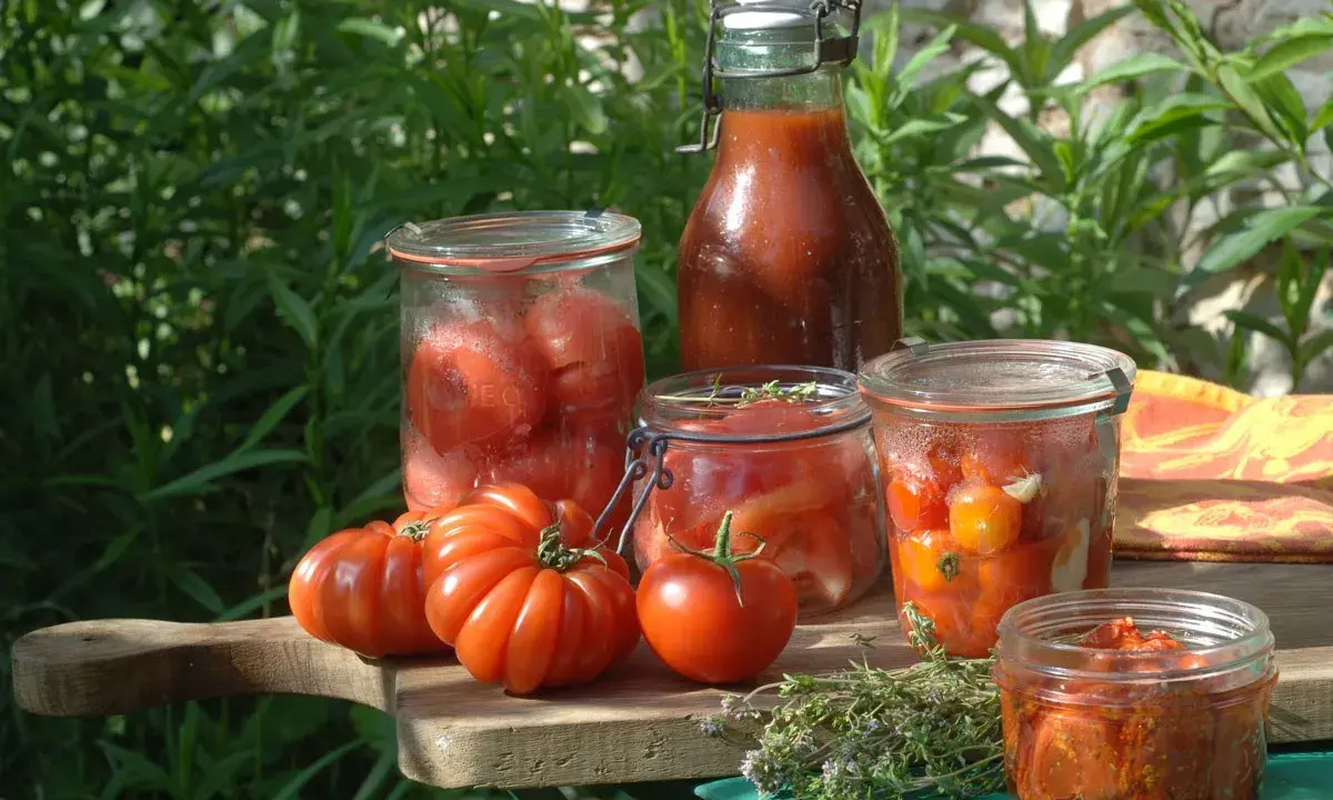 Comment conserver les tomates : bocaux de tomates entières, en morceaux, sauce tomate et tomates séchées.