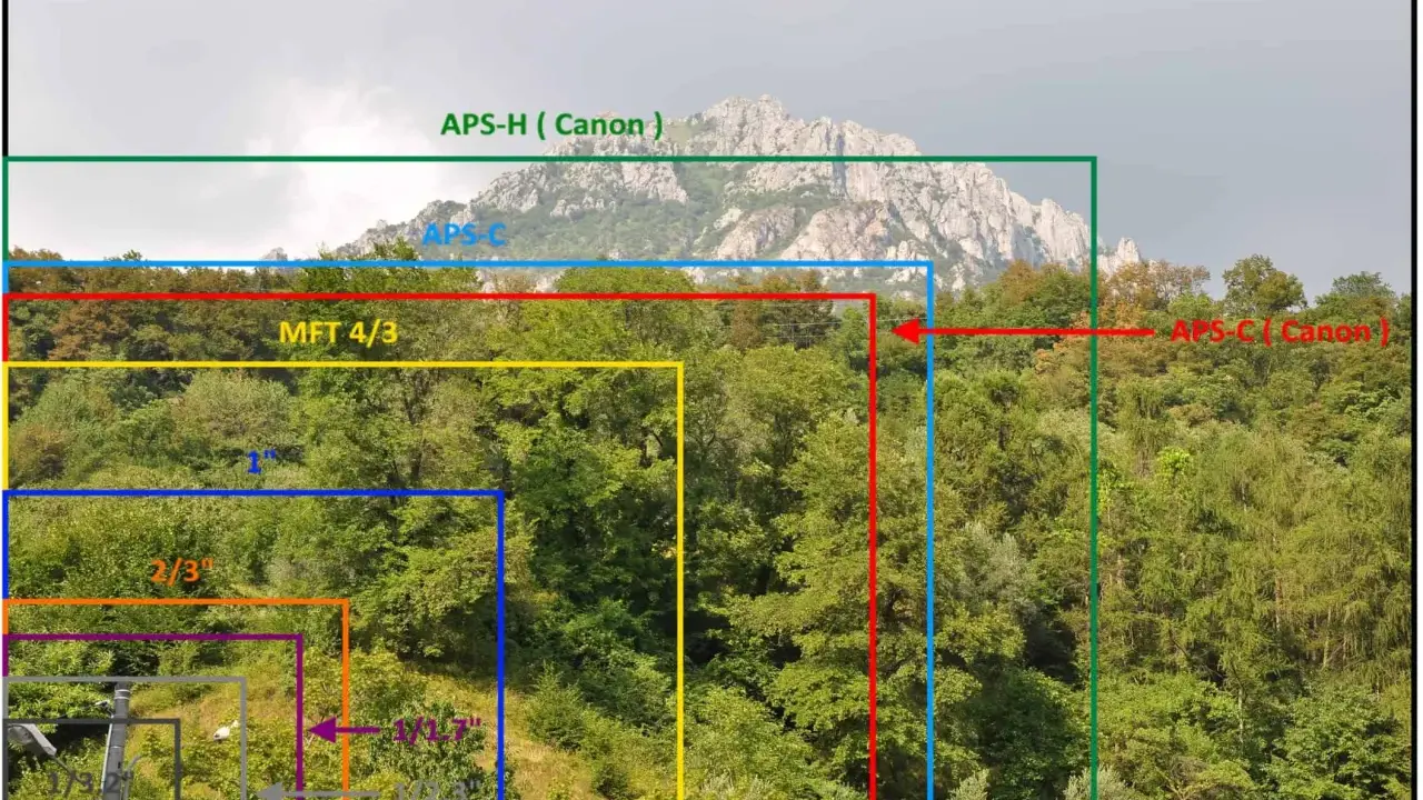 Confronto visivo di dimensioni sensore: dal più piccolo 1/1.7" al più grande APS-H (Canon), con il sensore full frame come riferimento implicito per la massima copertura.
