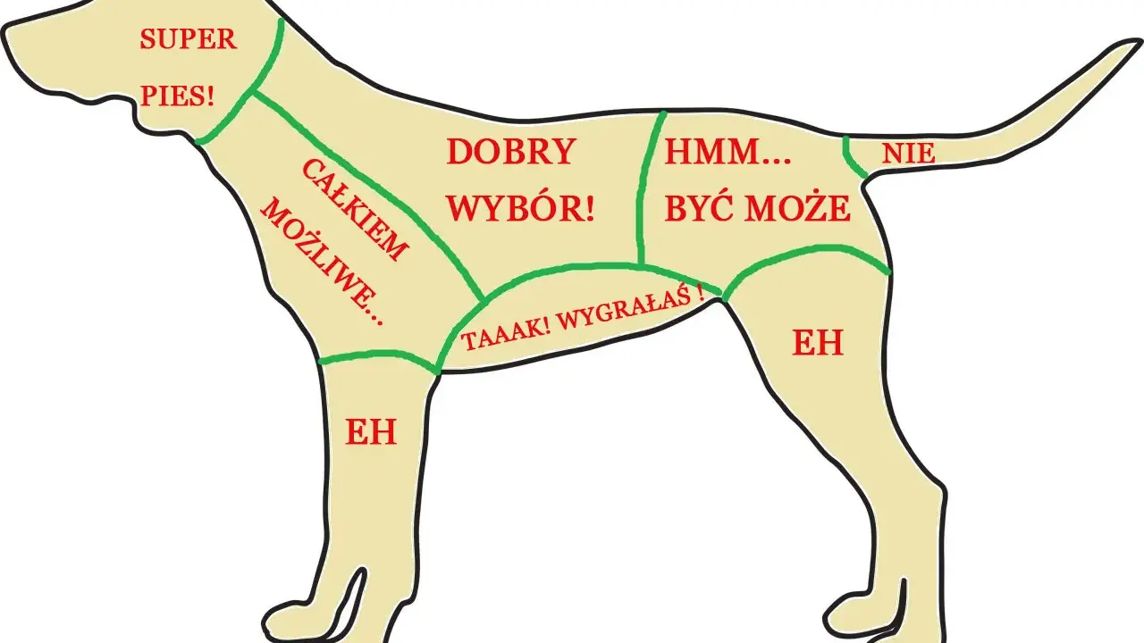 Mapa pokazuje, gdzie głaskać psa: "Super pies!" na głowie, "Dobry wybór!" na bokach, "Całkiem możliwe..." na łapach.
