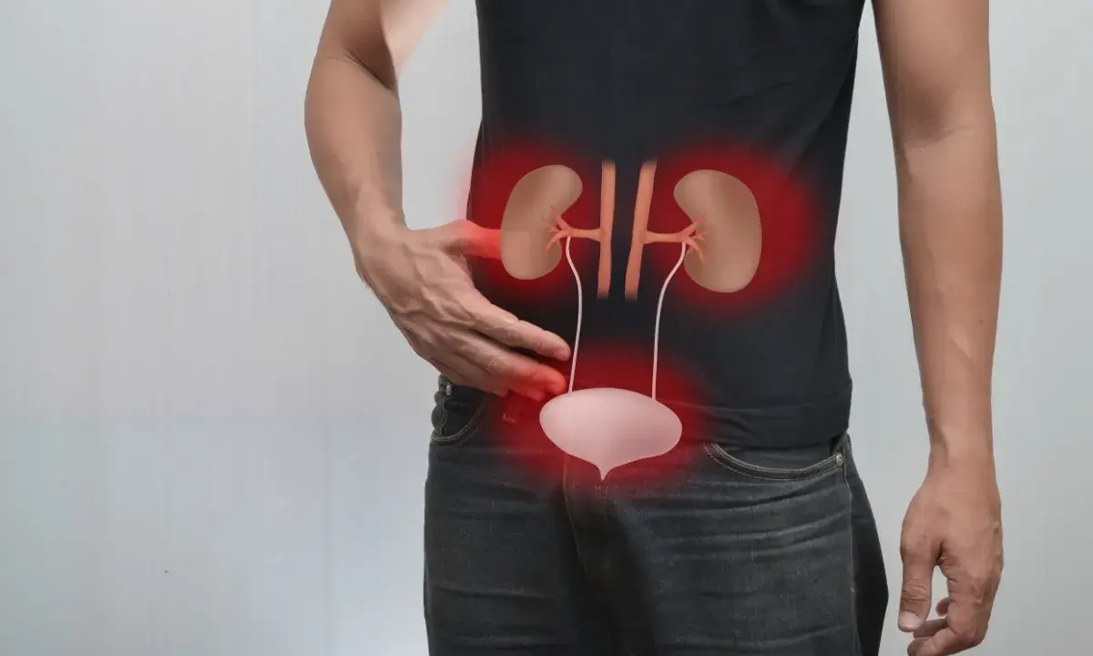 Mężczyzna odczuwa ból w podbrzuszu, wskazujący na zapalenie cewki moczowej. Czerwone obwódki podkreślają obszar nerek i pęcherza.