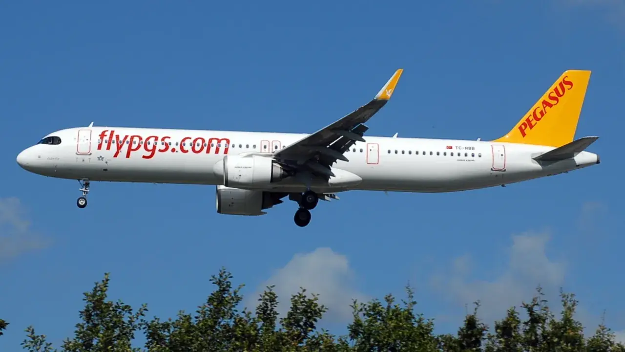 Samolot Pegasus Airlines z napisem "flypgs.com" na kadłubie i żółtym ogonem. W tle błękitne niebo i zielone drzewa. Idealny do przewozu bagażu.