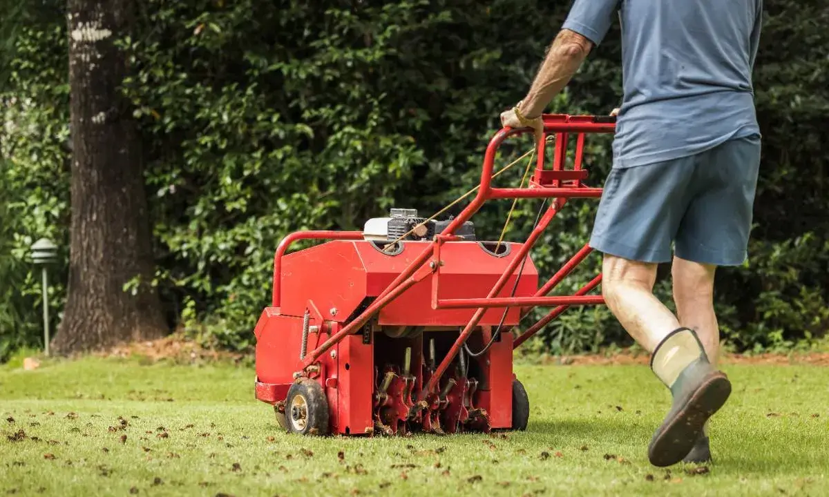 Man pushing a red core aeration machine across a green lawn, leaving plugs of soil behind.