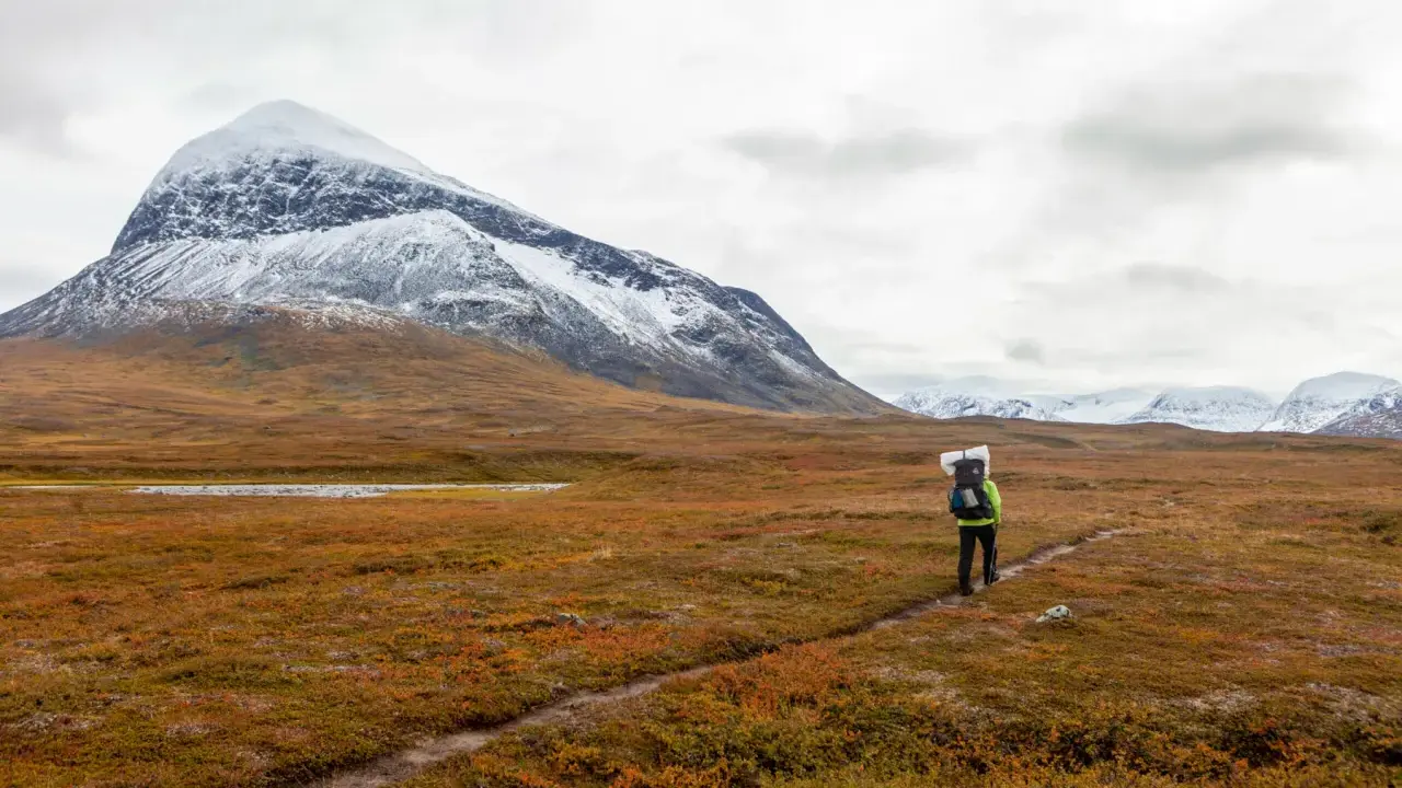 Vandrare på Kungsleden i Sarek med snöklädda berg i bakgrunden och höstens färger i förgrunden.