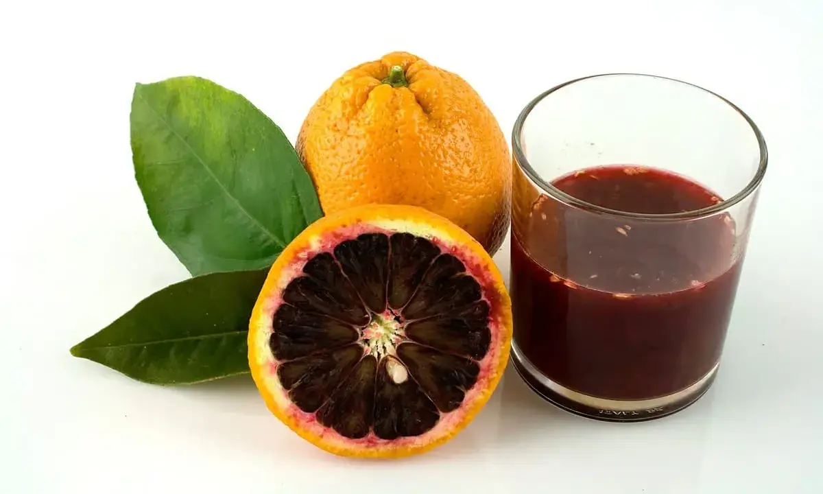 Blutorange: ein gesunder Genuss für gesund abnehmen. Saft und Frucht mit Blättern auf weißem Grund.
