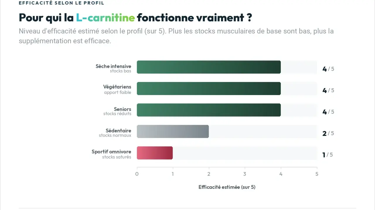 Graphique montrant l'effet de la L-carnitine : plus les stocks sont bas, plus l'efficacité est grande. Idéal pour sèche intensive, végétariens et seniors.