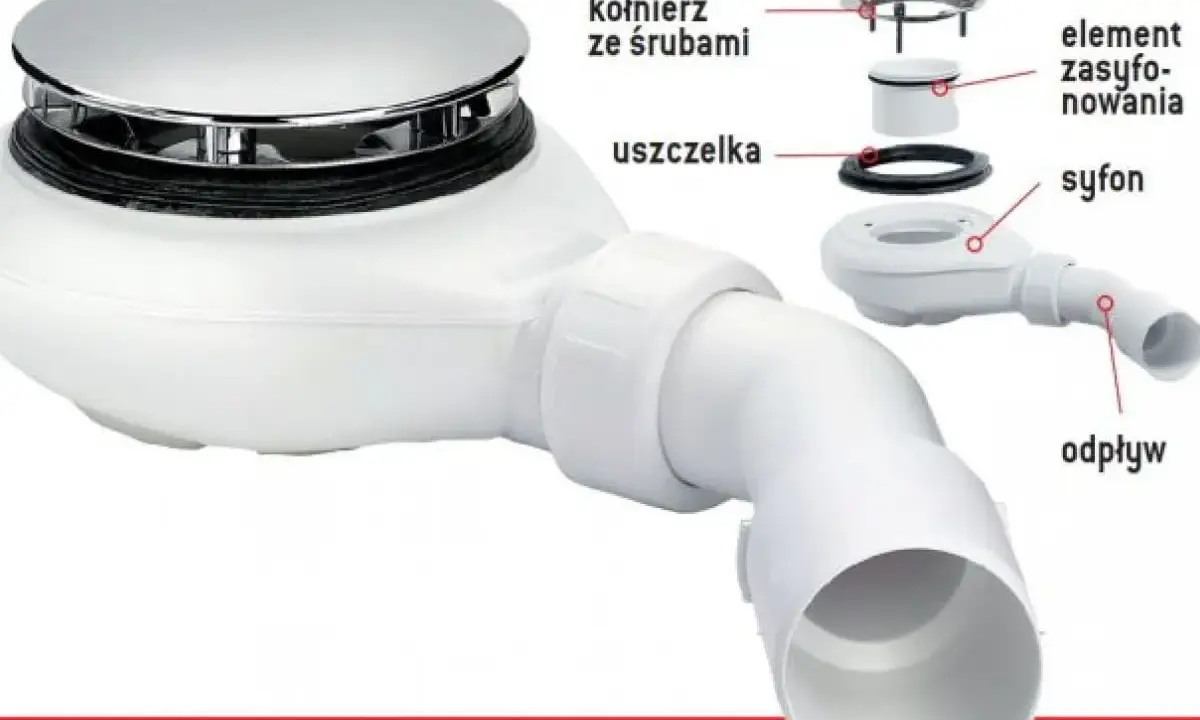 Rozłożony syfon w brodziku: pokrywa, kołnierz, uszczelka, element zasysywania, syfon i odpływ.