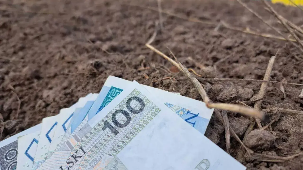 Pieniądze na ziemi, symbolizujące koszty rolnictwa. Zastanawiasz się, ile wynosi składka KRUS na kwartał?