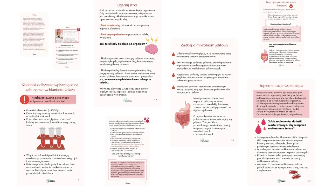 Jak podnieść poziom żelaza? Zadbaj o mikrobiom jelitowy, ogranicz stres i wyklucz przyczyny zaburzeń wchłaniania.