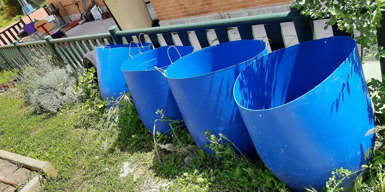 Cuatro grandes barriles azules listos para recoger agua de lluvia en el campo.