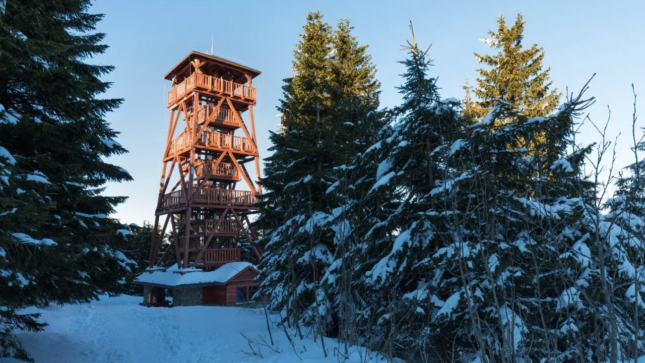 Drewniana wieża widokowa w zimowym krajobrazie, otoczona ośnieżonymi świerkami. To jedna z głównych zieleniec atrakcje, zapraszająca do podziwiania panoramy.