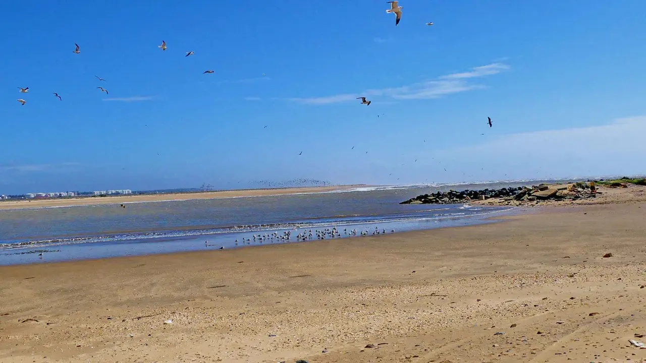 Möwen kreisen über dem weiten Huelva Strand. Das Meer glitzert, während sich im Hintergrund eine Stadt abzeichnet.
