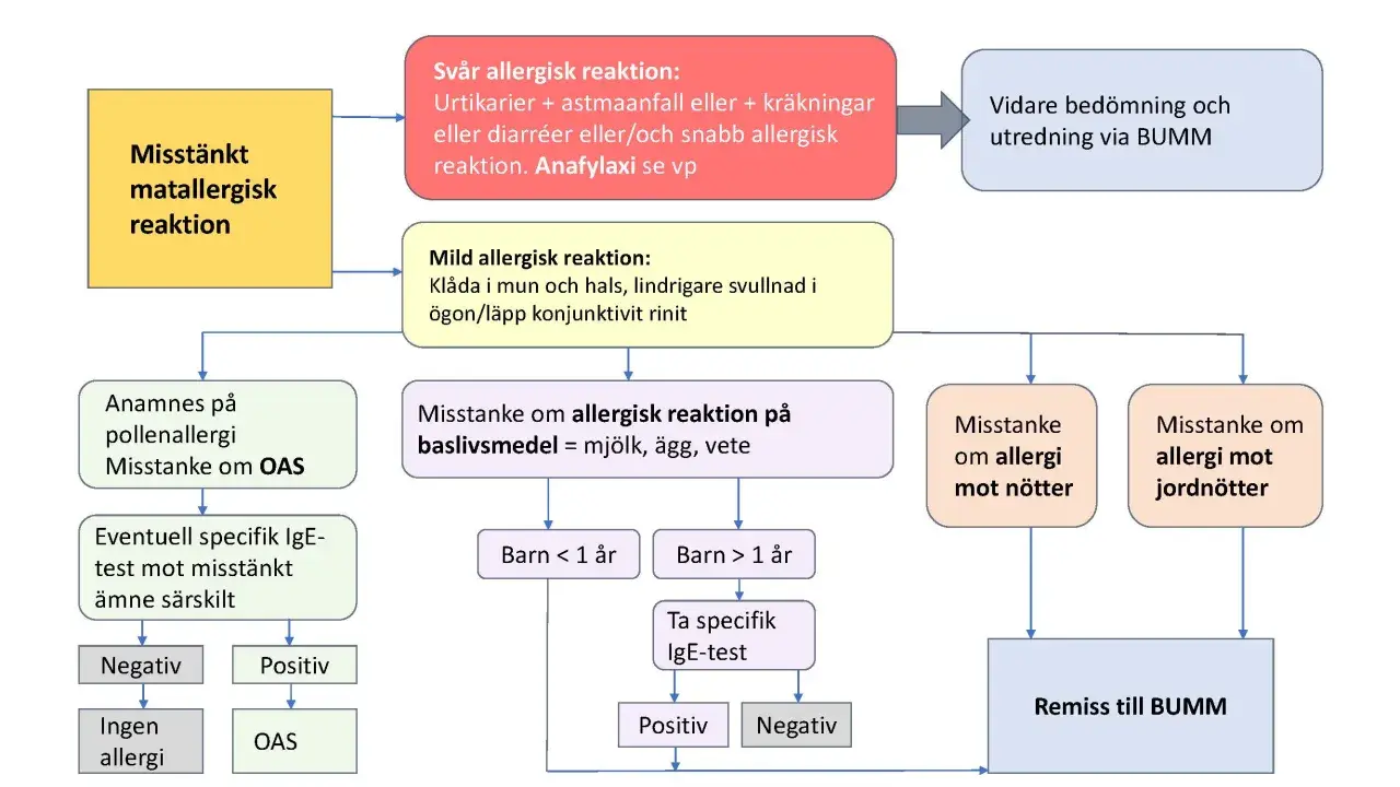 Flödesschema för misstänkt matallergisk reaktion hos bebis. Utredning av symtom, tester och remiss.