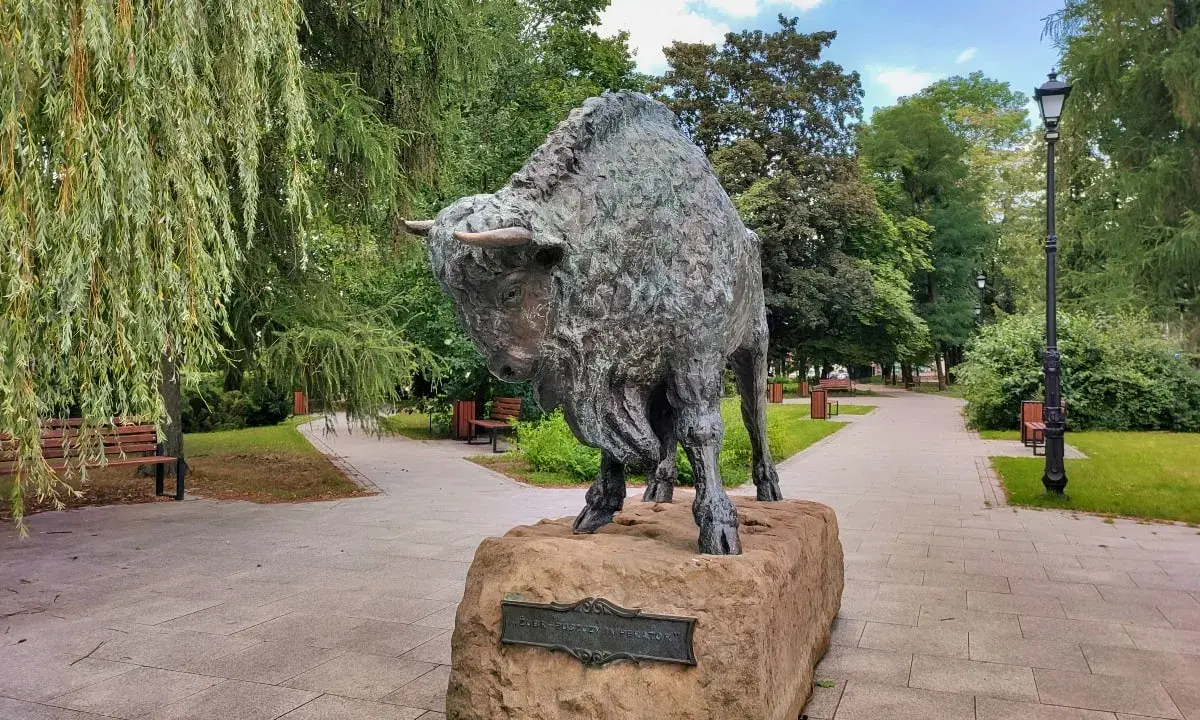 Pomnik żubra, symbol Hajnówki, w parku. Wspaniałe **hajnówka atrakcje** przyciągają turystów.