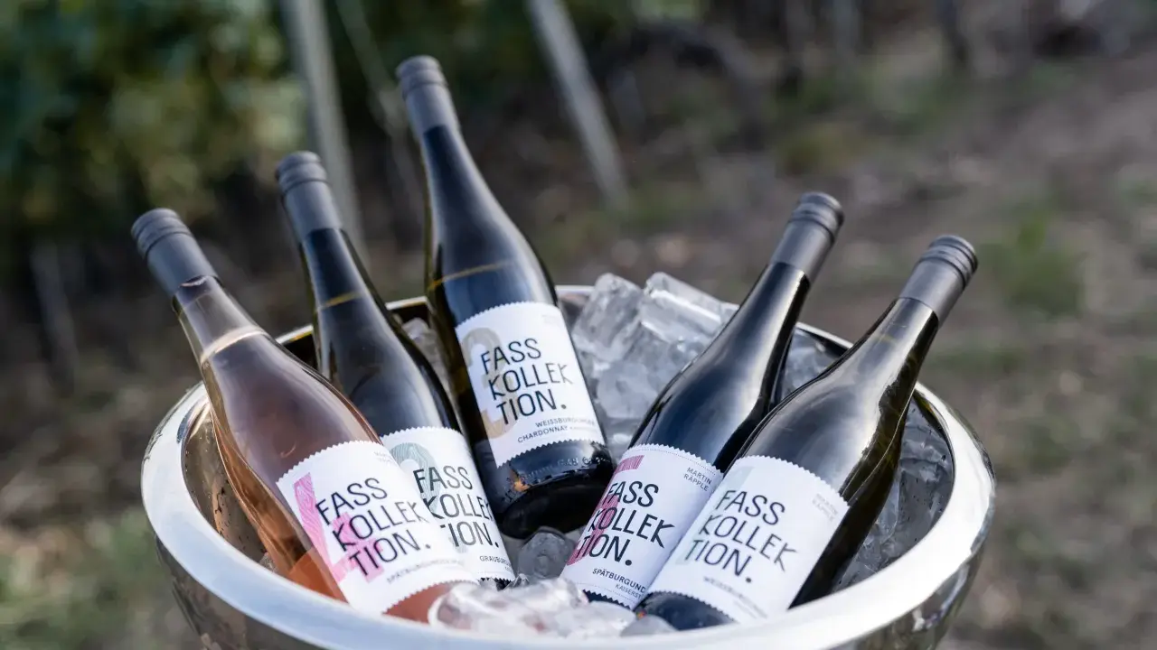 Flaschen mit "Fass Kollektion" Etiketten, darunter ein Rosé-Wein, in einem Eisbehälter. Ein Genuss für Liebhaber von gutem **Wein rot** und weiß.
