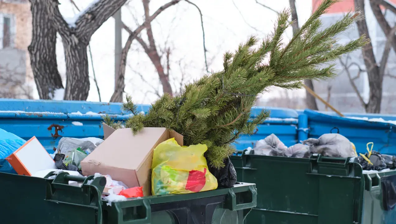 Po świętach czas na porządki. Gdzie wyrzucić sztuczną choinkę? W tym przypadku zielona gałązka trafiła do śmietnika.