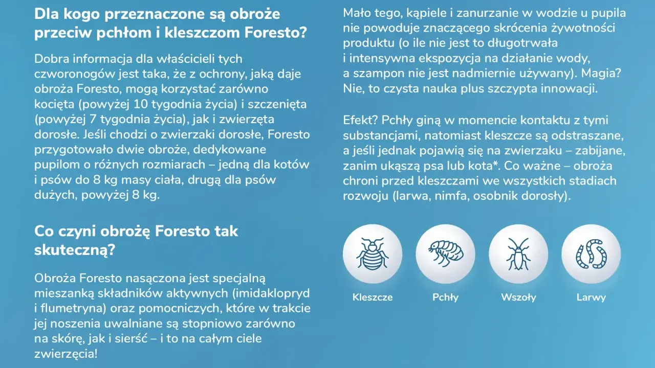 Obroża na kleszcze: Foresto, Kiltix, Sabunol którą wybrać?