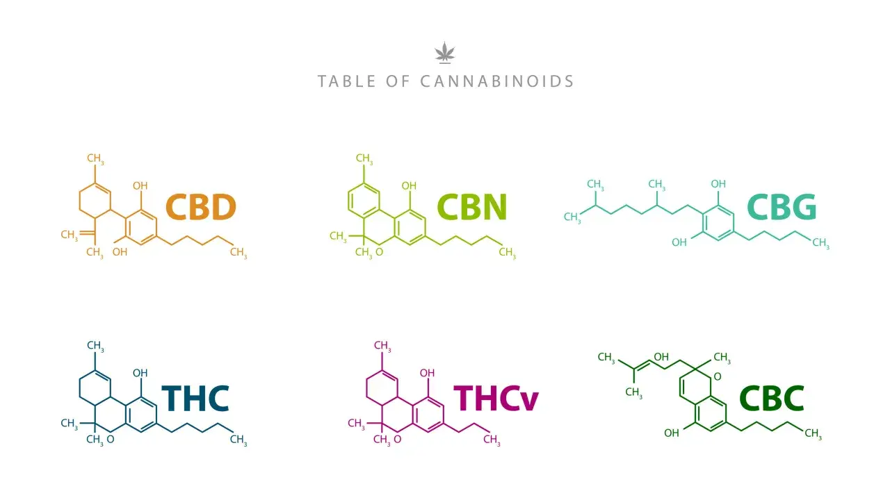 Tabela kannabinoidów: CBD, CBN, CBG, THC, THCV, CBC. CBG to jeden z kannabinoidów.