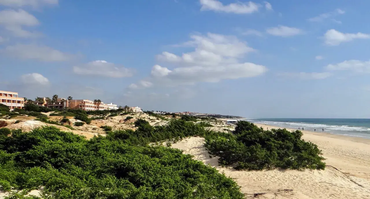 Strand von Sancti Petri mit Dünen, grüner Vegetation und Hotels am Horizont.