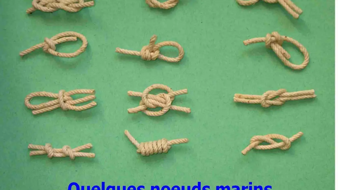Divers nœuds marins faciles illustrés sur fond vert. Apprenez à faire un nœud marin facile pour vos besoins.