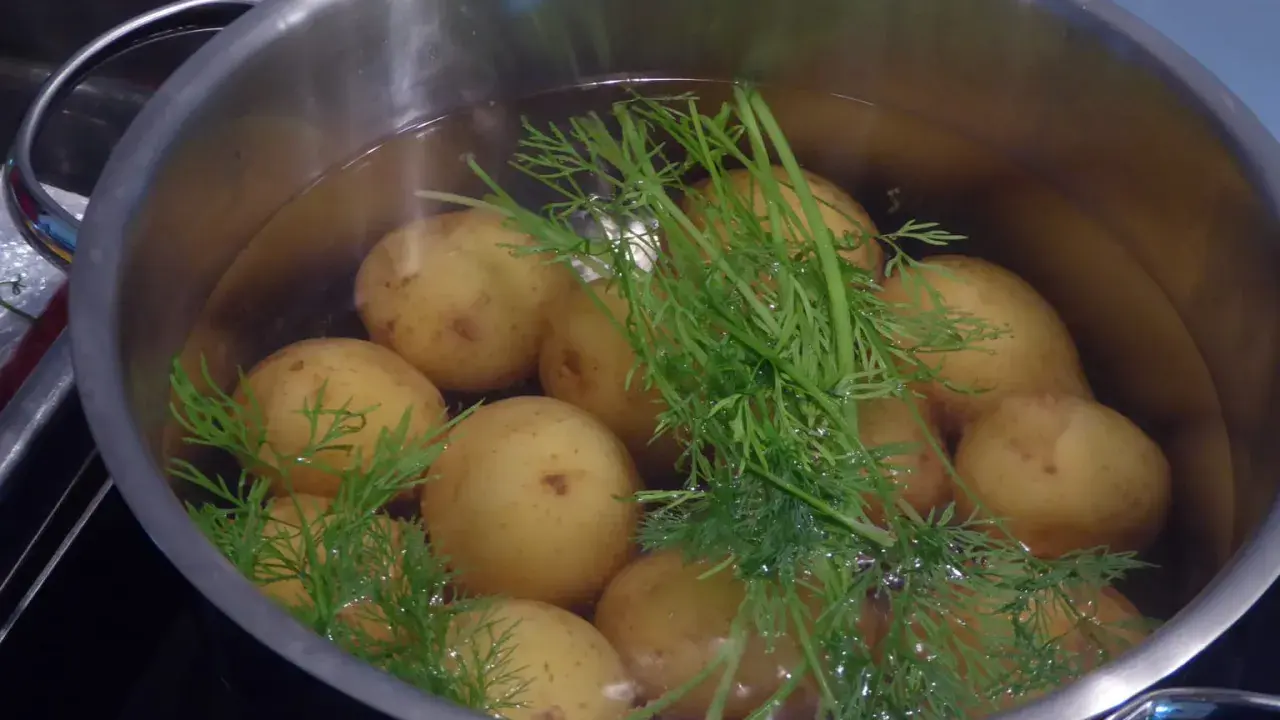 En gryta med dillkokt potatis i vatten. Snart redo att serveras med smör och mer dill.