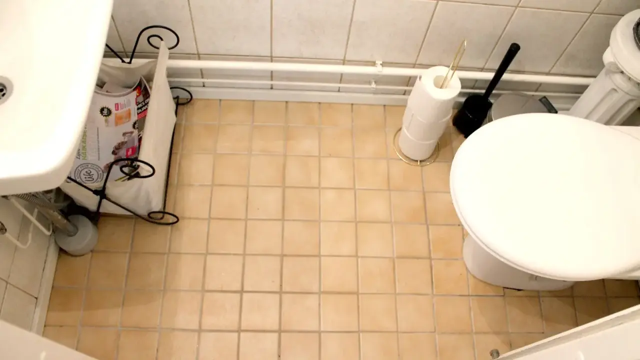 En liten toalett med beige kakelgolv. En tidningskorg står vid handfatet, och en toalettrulle och borste står bredvid toaletten. Kanske dags att måla kakel?