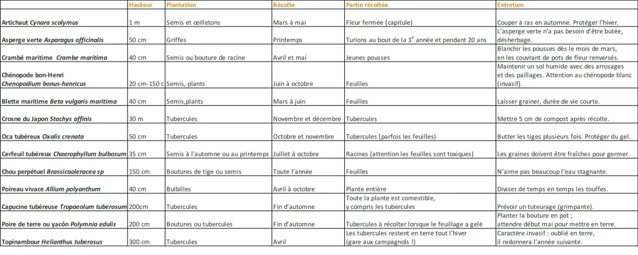 Tableau des légumes perpétuels Kokopelli : artichaut, asperge, crambé, chénopode, blette, crosne, oca, cerfeuil, chou, poireau, capucine, poire de terre, topinambour.