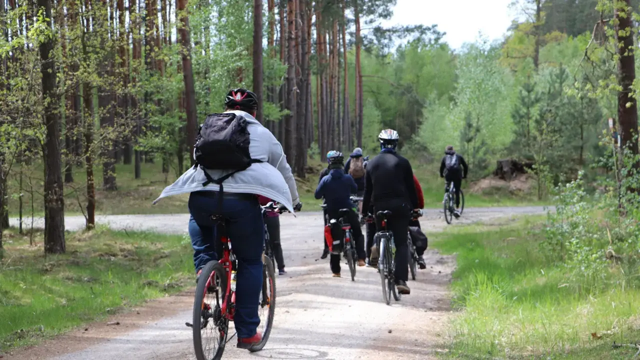 Grupa rowerzystów przemierza leśną ścieżkę, spalając kalorie podczas aktywnej jazdy na rowerze.