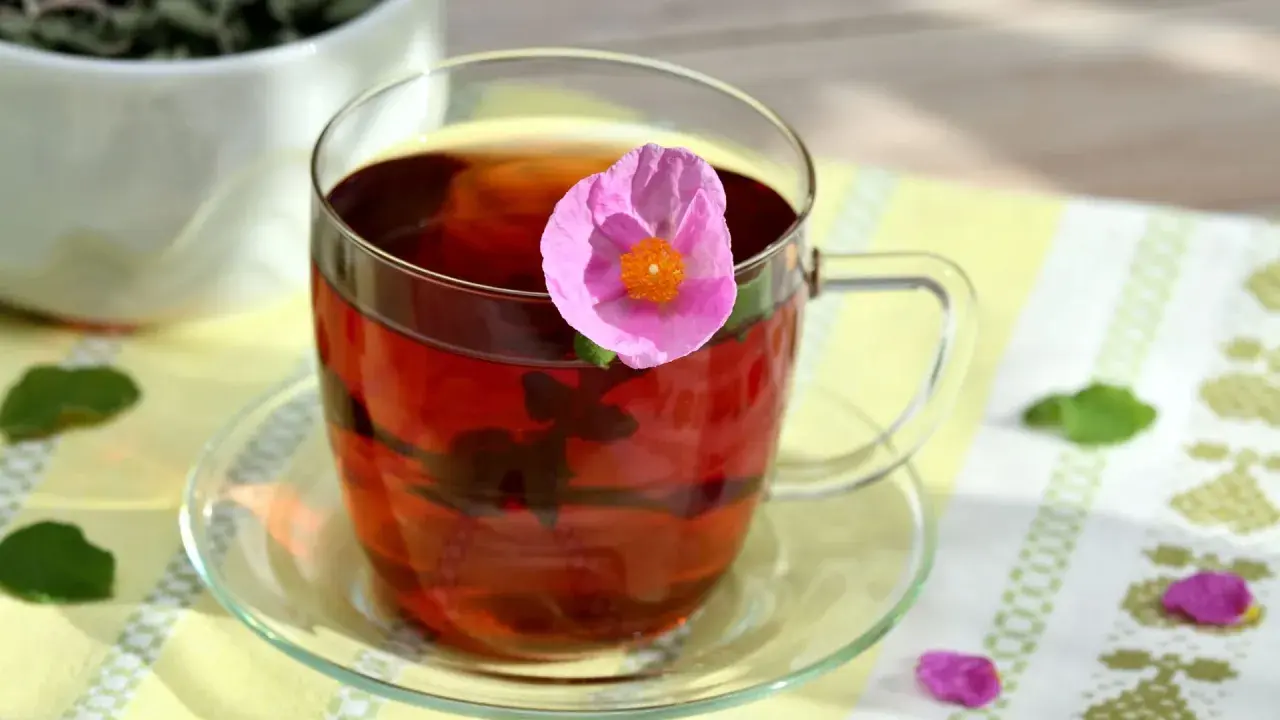Ein Glas Cistus Tee mit einer rosa Blüte. Die Cistus Tee Wirkung ist bekannt für ihre entzündungshemmenden Eigenschaften.