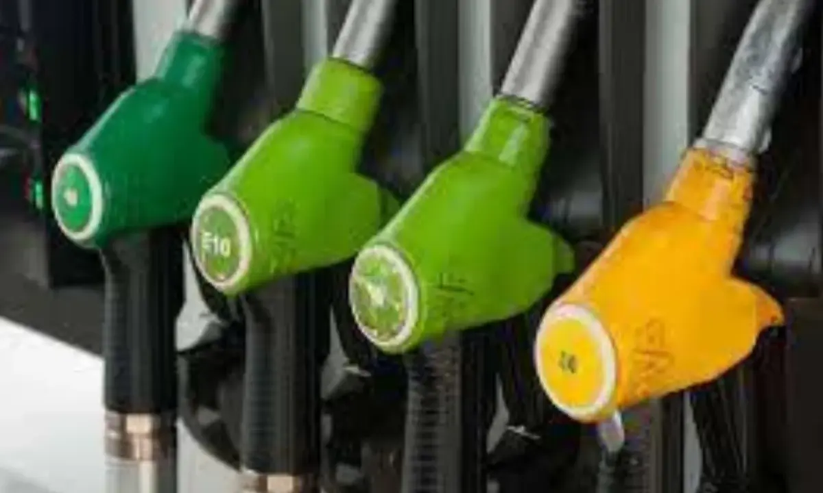 Pistolets de pompe à essence, certains verts marqués E10, un jaune. L'image évoque la transition pour convertir diesel en biodiesel.