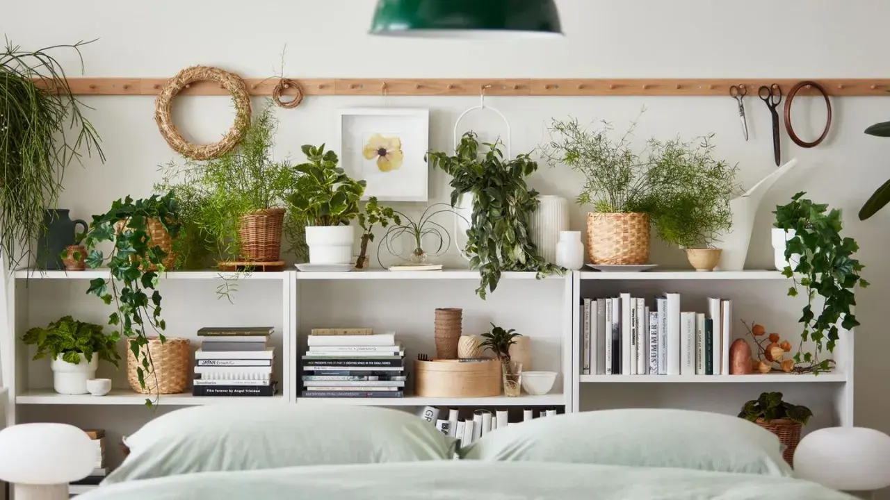 Grüne Oase im Schlafzimmer: Viele Pflanzen auf Regalen, Bücher und Dekoartikel schaffen eine gemütliche Atmosphäre.