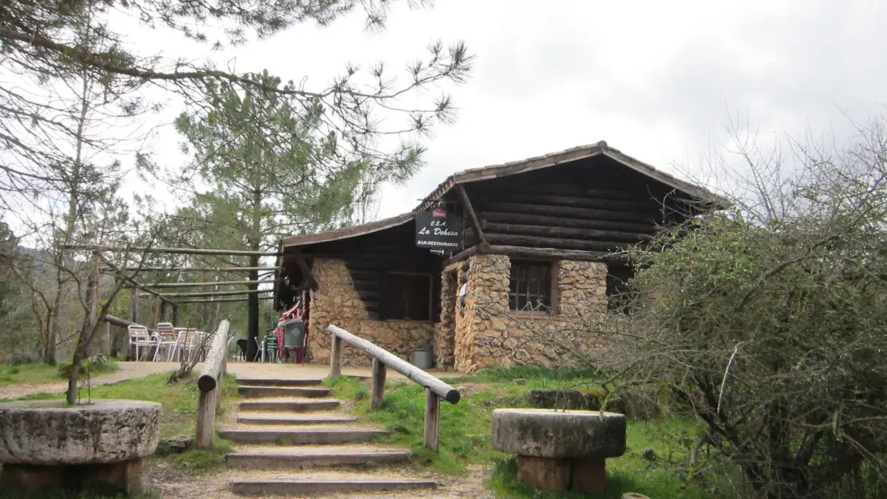 Mesones Riopar: acogedor bar-restaurante de piedra y madera en un entorno natural. Escaleras de acceso y mesas exteriores invitan a disfrutar.