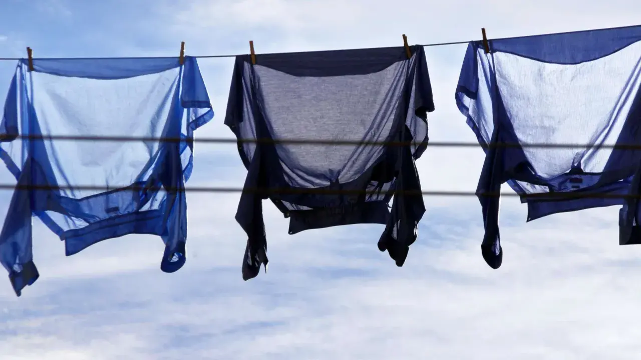 Drei blaue Hemden trocknen auf der Wäscheleine. Sie wurden auf links gewaschen, um die Farben zu schonen.