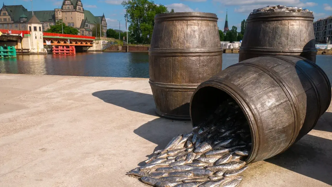 Co ciekawego w Szczecinie? Odkryj Floating Garden i TOP atrakcje
