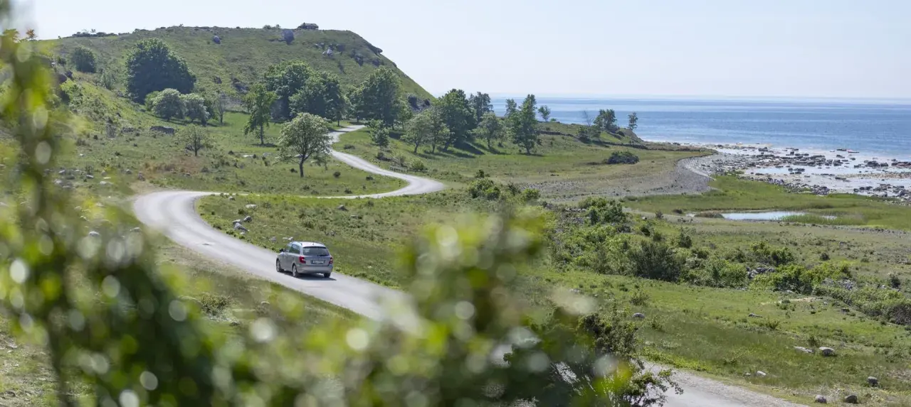 En bil kör på en slingrig väg längs Gotlands kust. Perfekt för att upptäcka nya aktiviteter på Gotland.